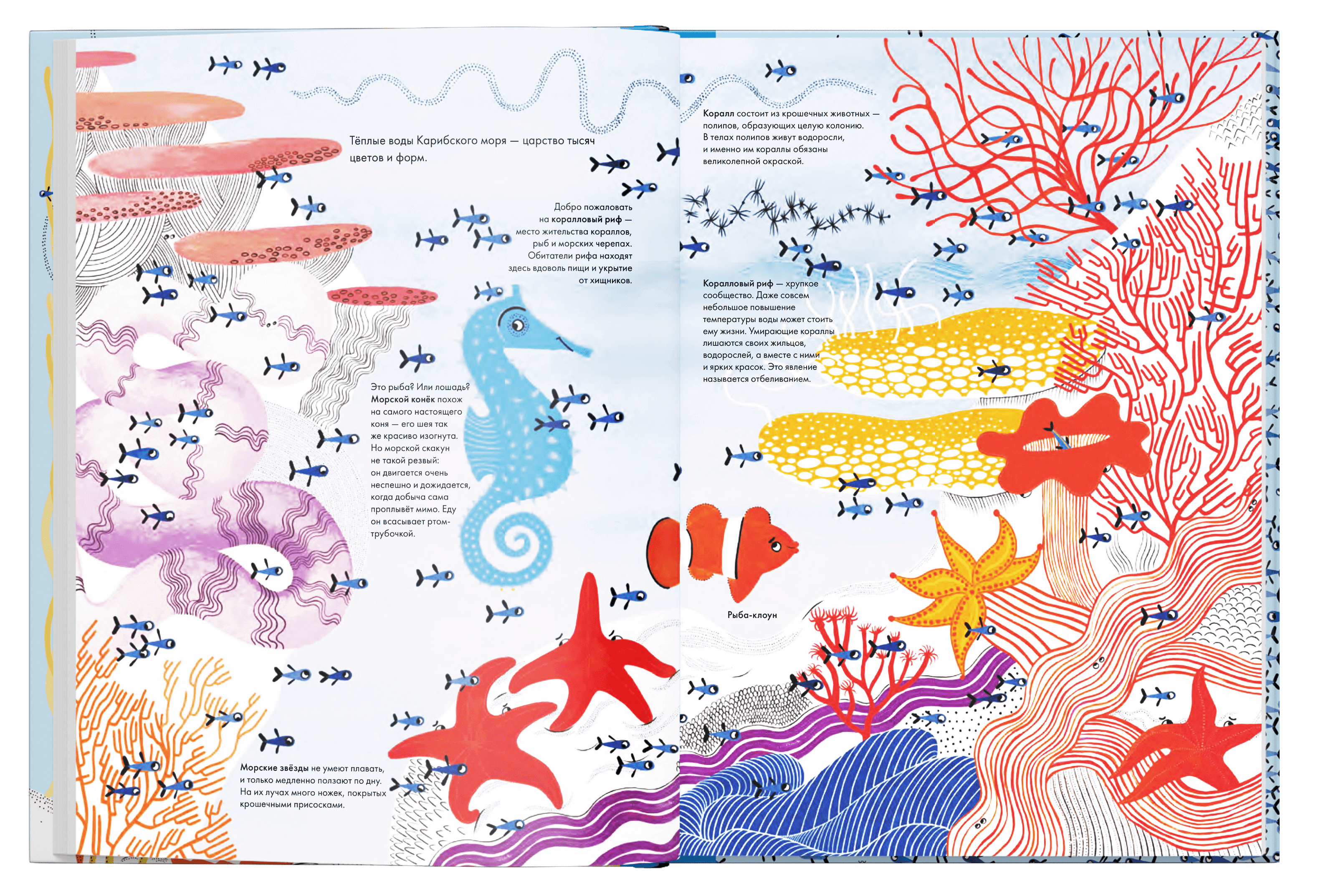 Тысяча и одна рыба. Иоанна Жезак