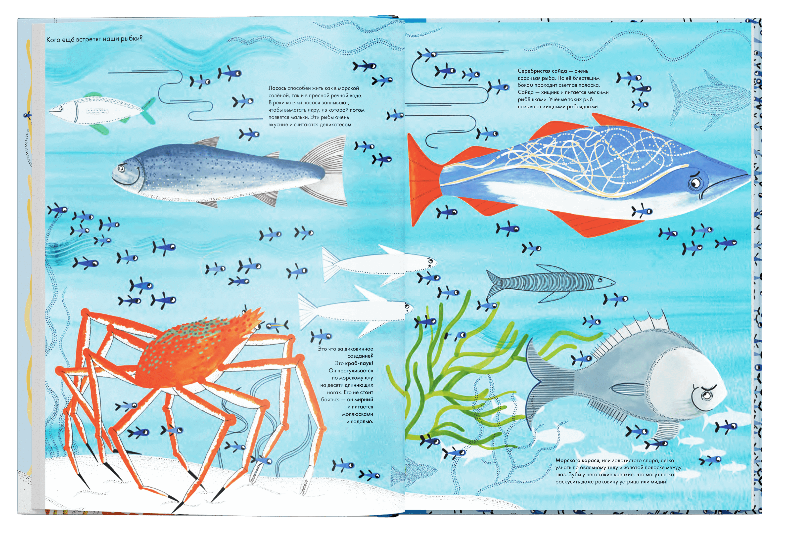 Тысяча и одна рыба. Иоанна Жезак