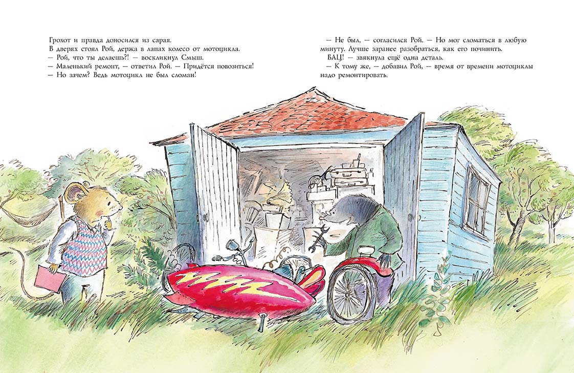 Смыш и Рой. Время чудес. Данбар Джойс