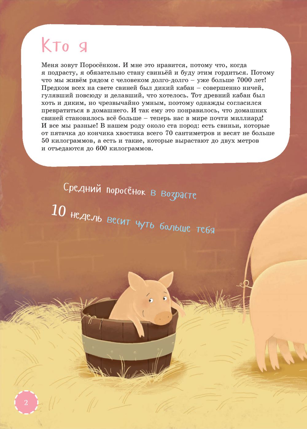 Я свинья. Серия Занимательная зоология. Константин Антипов