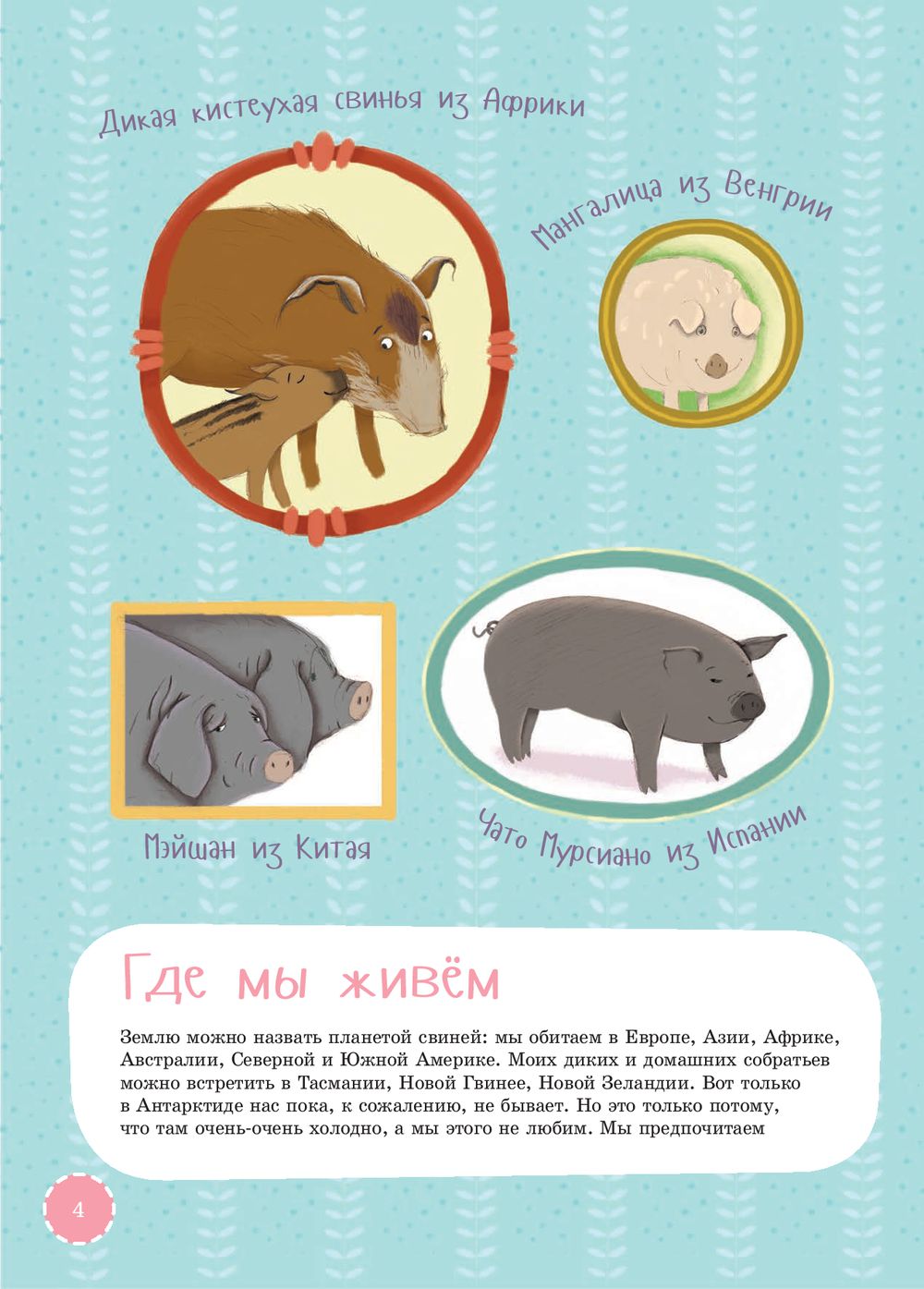 Я свинья. Серия Занимательная зоология. Константин Антипов