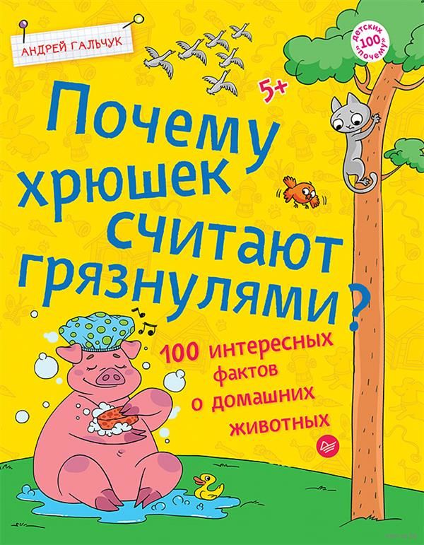 Почему хрюшек считают грязнулями? 100 интересных фактов о домашних животных. Гальчук А. П.