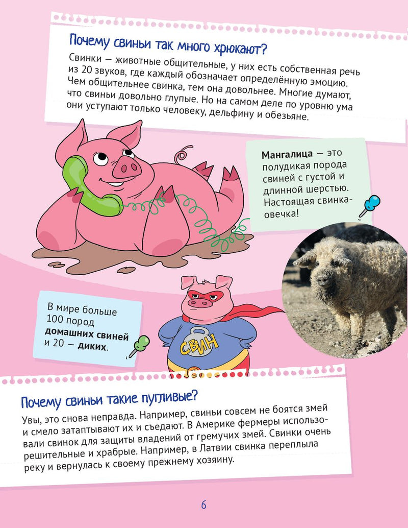 Почему хрюшек считают грязнулями? 100 интересных фактов о домашних животных. Гальчук А. П.