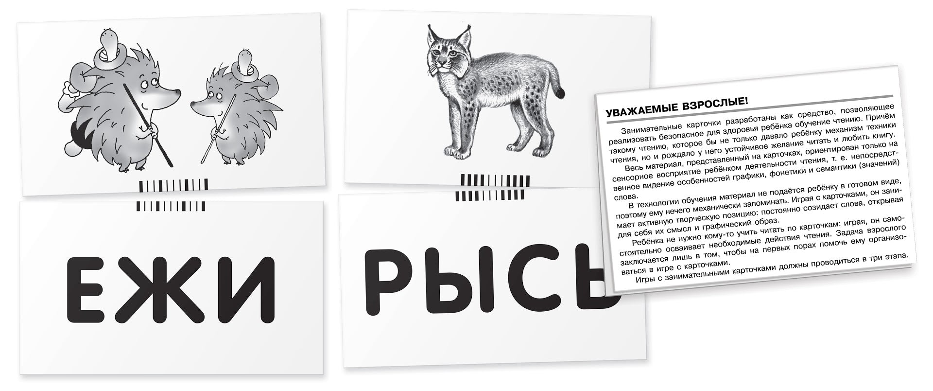 Обучение грамоте. Лев. Читаем слова-слоги. Набор карточек. Штец А.А.
