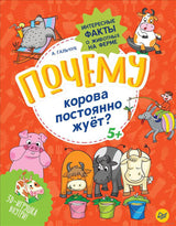 Почему корова постоянно жует? Интересные факты о животных на ферме. Гальчук А. П.