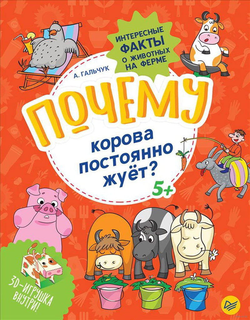 Почему корова постоянно жует? Интересные факты о животных на ферме. Гальчук А. П.