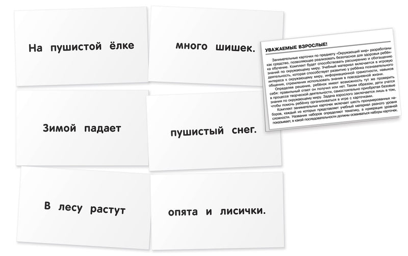 Обучение грамоте. Ёжик. Читаем предложения. Набор карточек. Штец А.А.