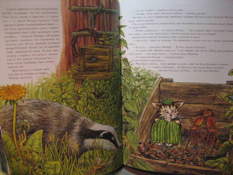 История о том, как Финдус потерялся, когда был маленький. Свен Нурдквист