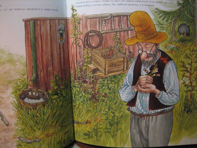 История о том, как Финдус потерялся, когда был маленький. Свен Нурдквист