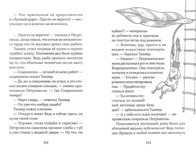 Петронелла и темная история с цирком. Штэдинг Сабина