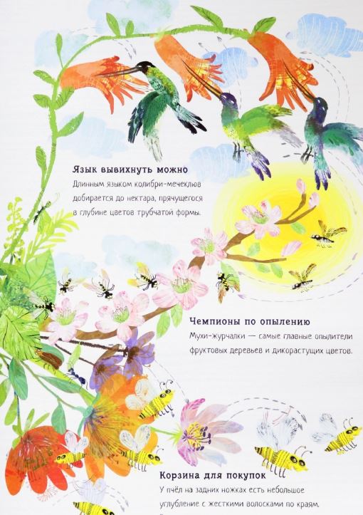 Большая книга цветов. Зоммер Юваль