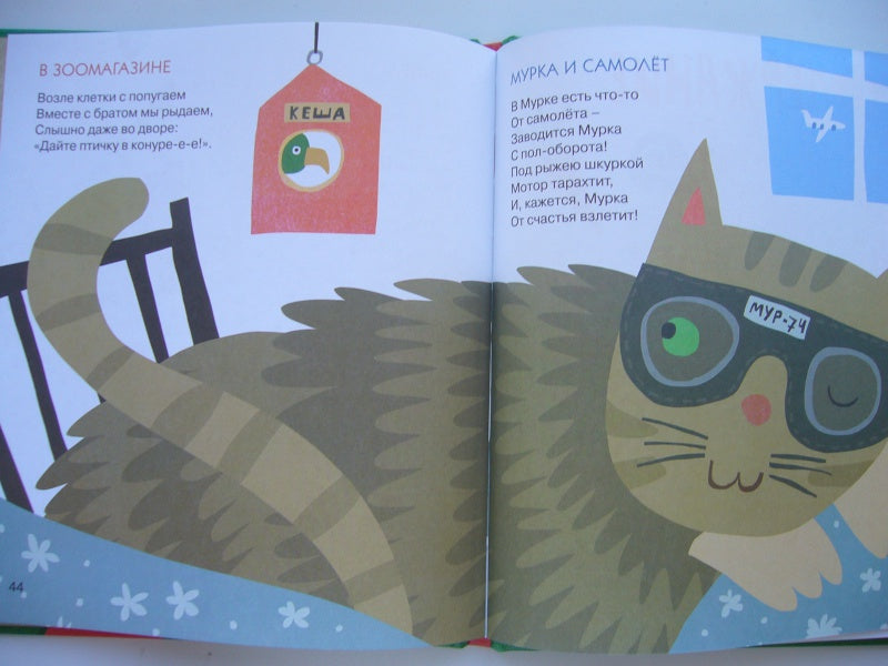 Яблочки—пятки. Анастасия Орлова