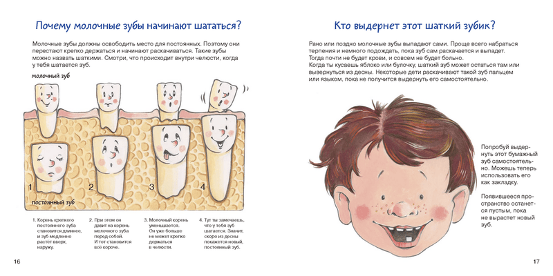 Зубная книга. Все о твоих молочных зубах  Ивона Радюнц и Томас Рёнер