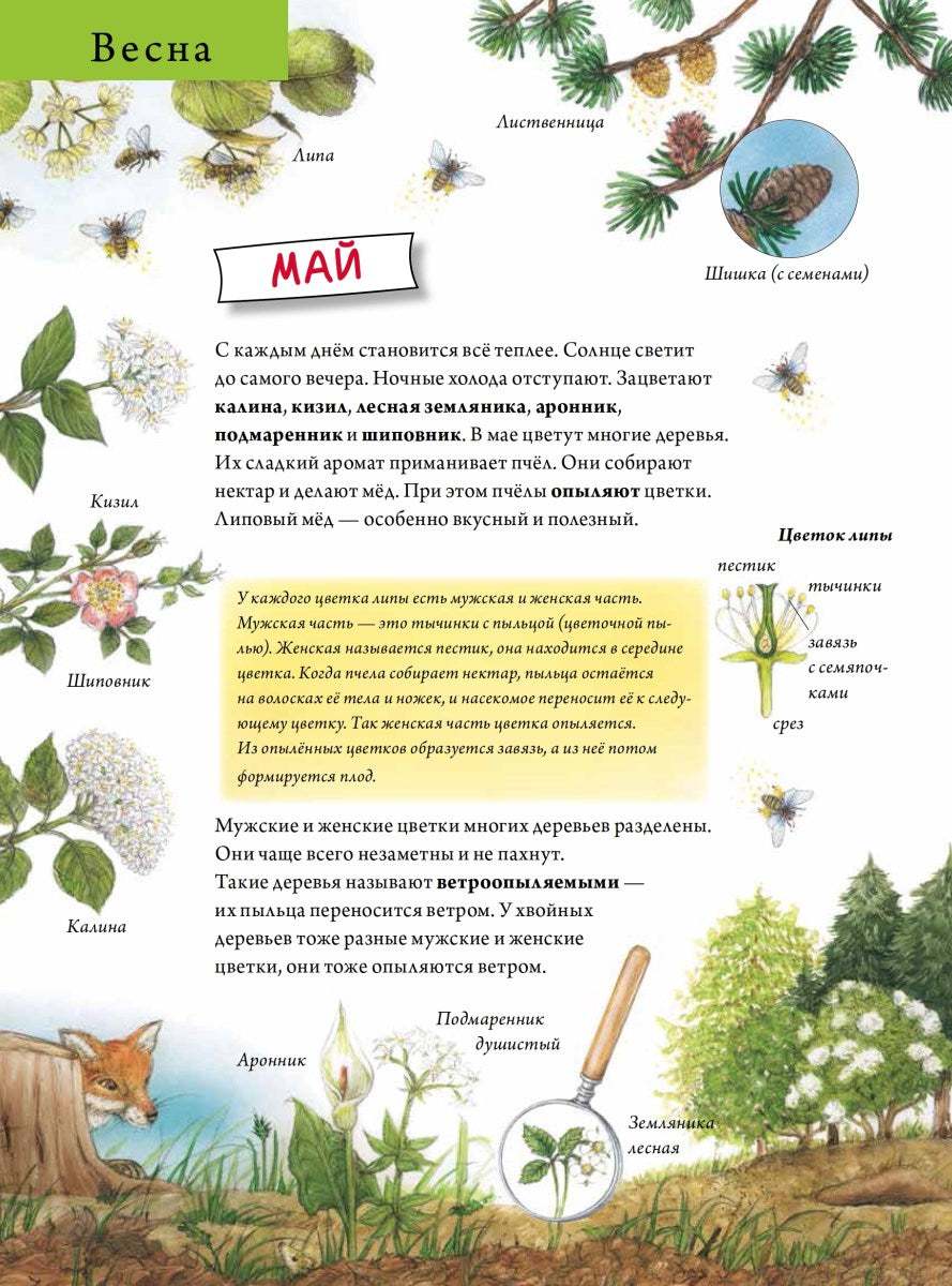 Лесной календарь. Риха С. Я хочу все знать!