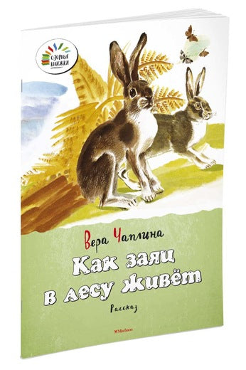 Как заяц в лесу живёт. Вера Чаплина