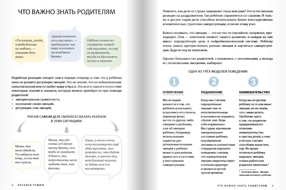 Это — мои эмоции. Ремиш Н.