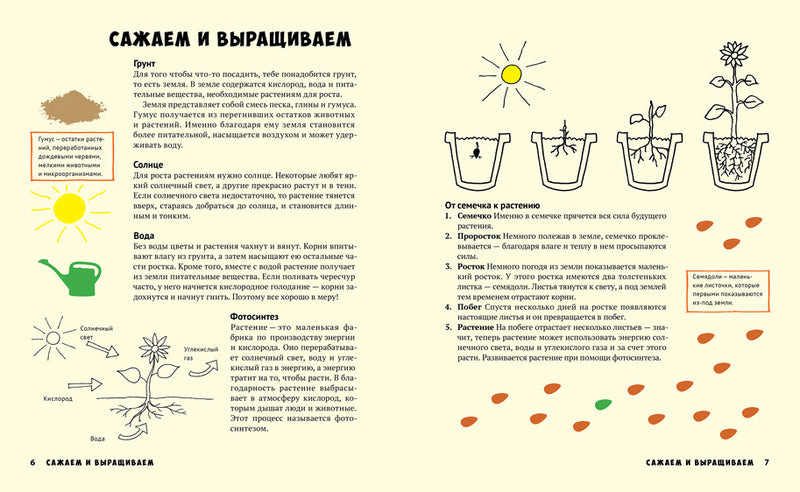 Мой первый огород. Посей, собери, съешь