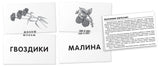 Обучение грамоте. Собака. Читаем по слогам. Набор карточек