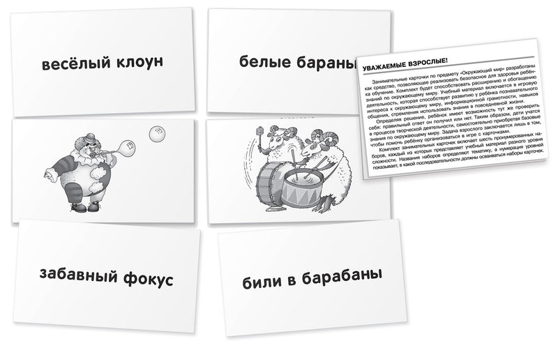 Обучение грамоте. Лиса. Читаем по слогам. Набор карточек. Штец А.А.