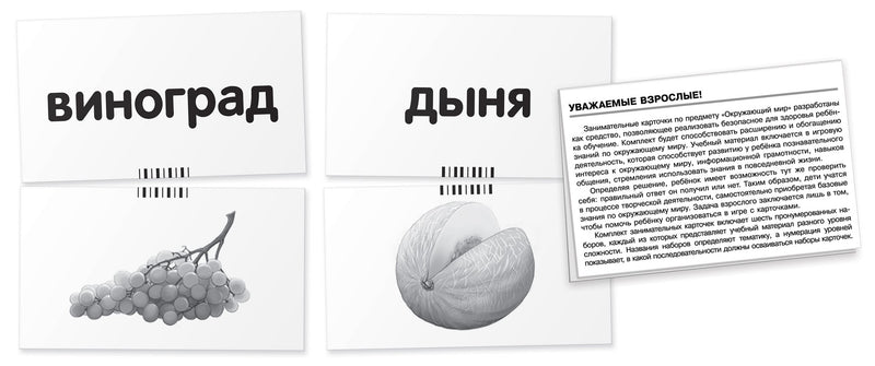 Окружающий мир. Дуб. Мир растений. Набор карточек. Гончарова Е.М.
