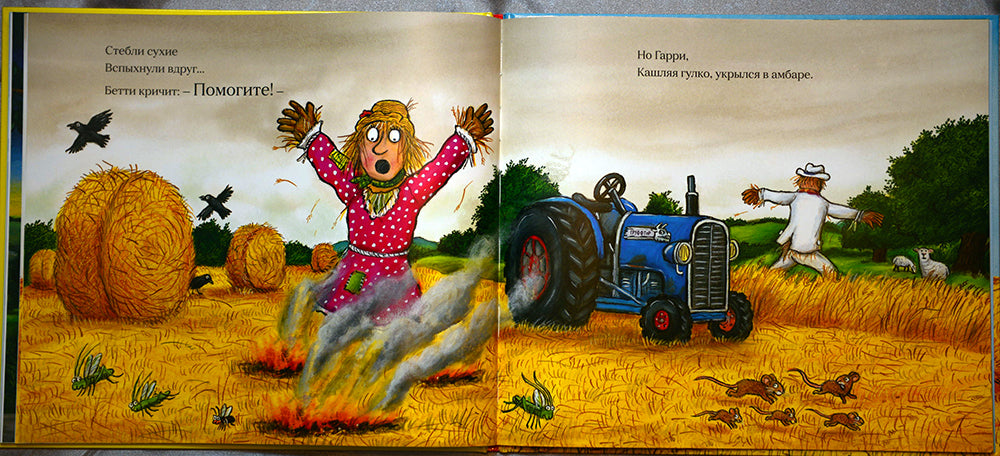 Самая лучшая свадьба. Джулия Дональдсон, А. Шеффлер