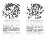 Свидетели ограбления. Серия "Секретная семерка". Энид Блайтон