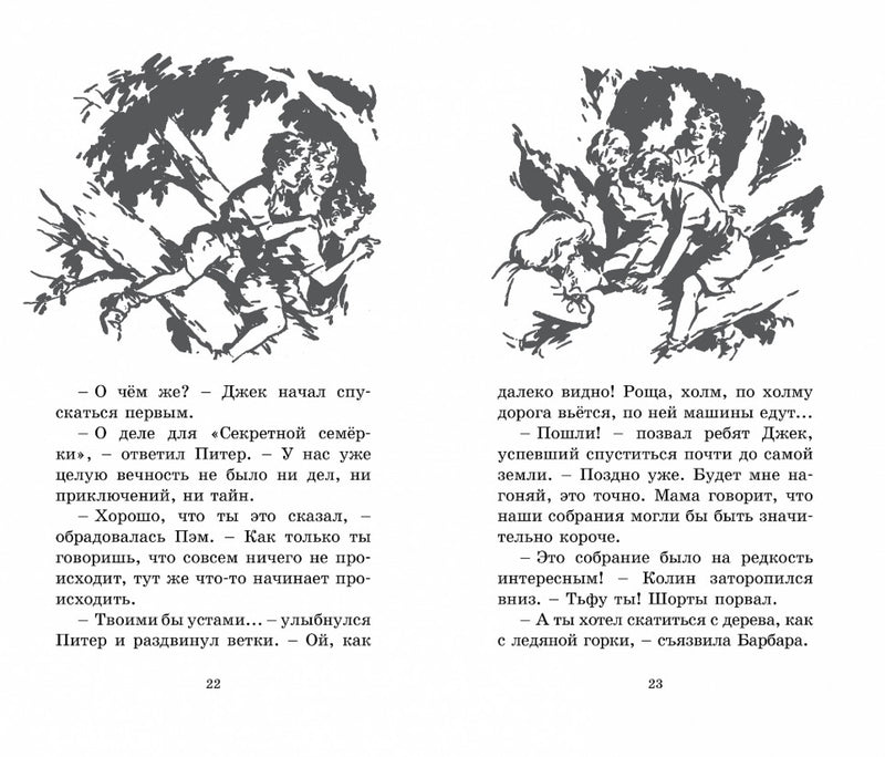 Свидетели ограбления. Серия "Секретная семерка". Энид Блайтон