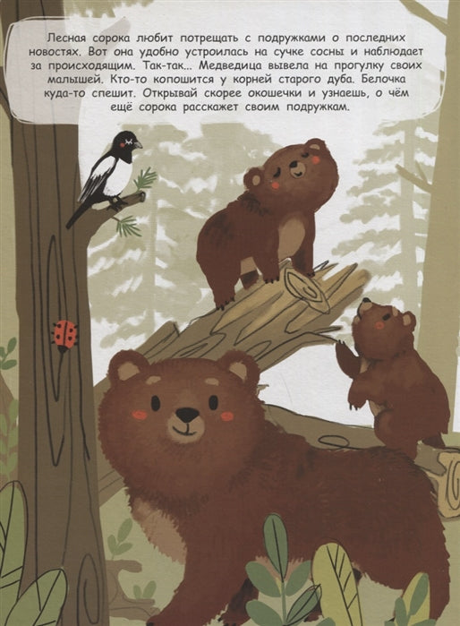 В лесу. Книги с окошками