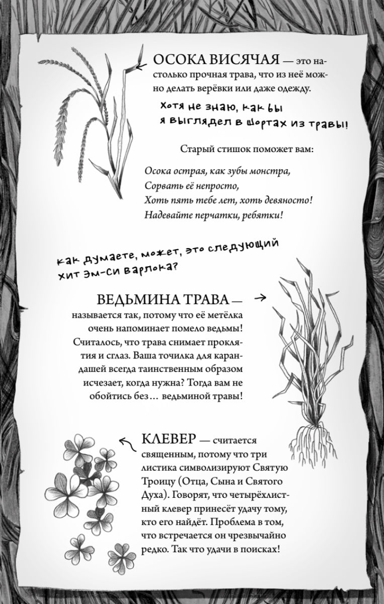 Роза Фалви и волшебник в саду. Саймон Фарнаби