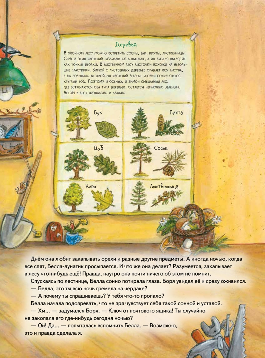 Бобёр Боря-следопыт! Кто прячется в лесу? Книжка подготовишки. Инга Рамке