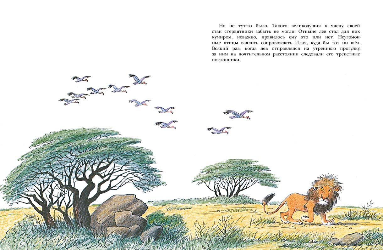 Лев по имени Илай. Пит Билл