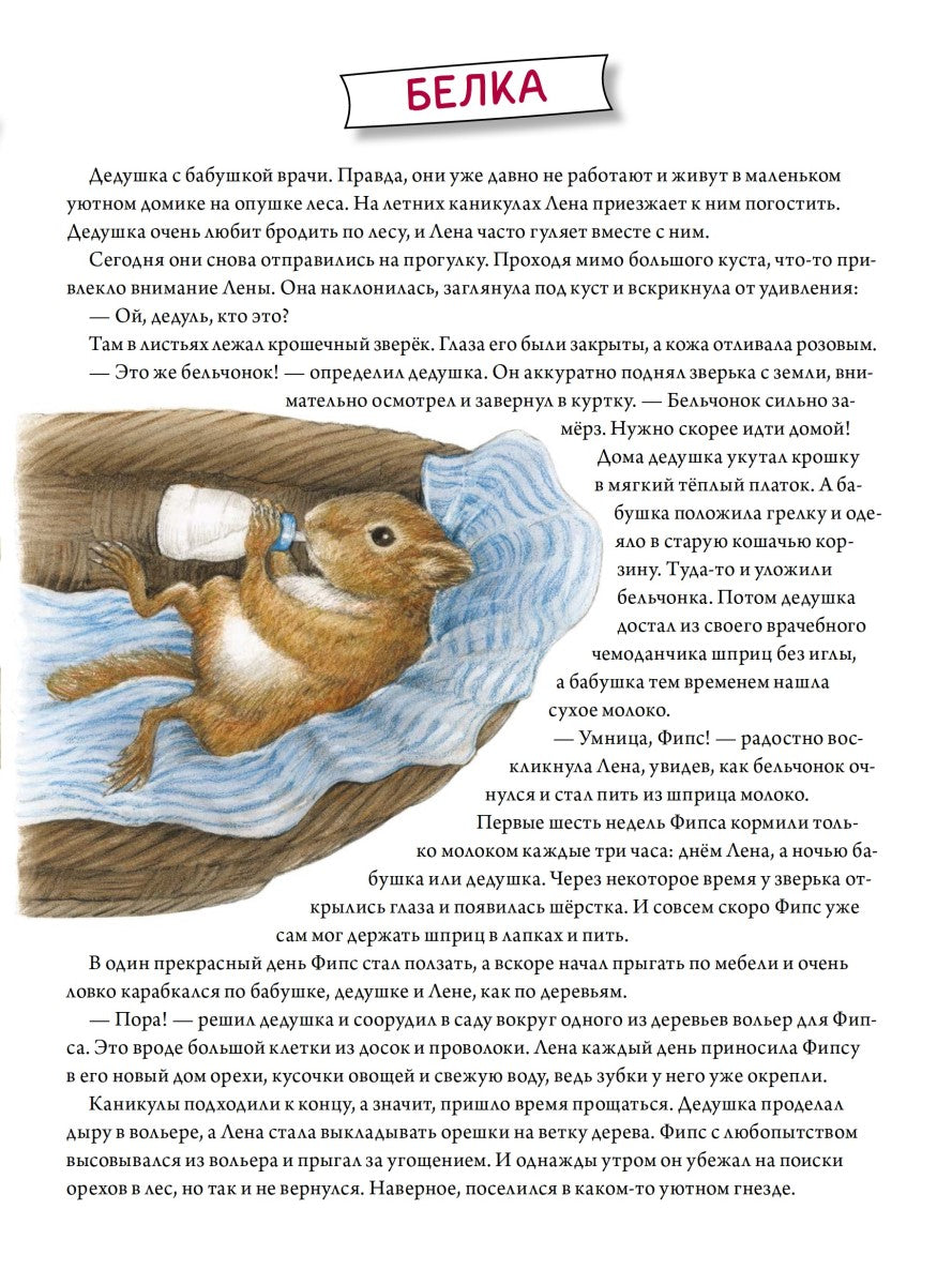 Лесной календарь. Риха С. Я хочу все знать!