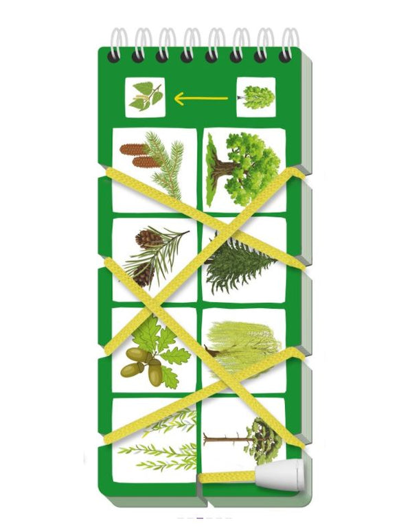 Игры со шнурком. Необыкновенные растения