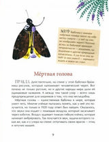 Страшный жук? Добрый жук! А. Кашура, М. Цуриков