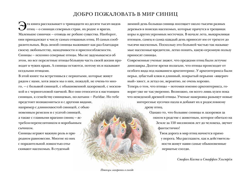 Синицы и их родня. Стефан Каста, Стаффан Ульстрём