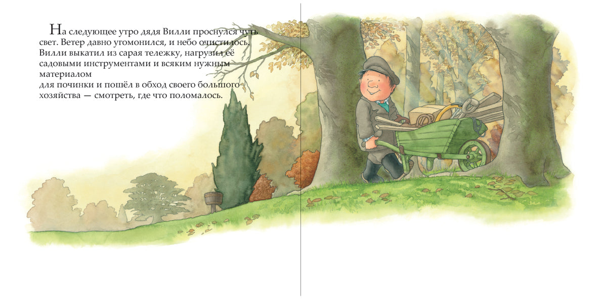 После бури. Баттерворт Ник