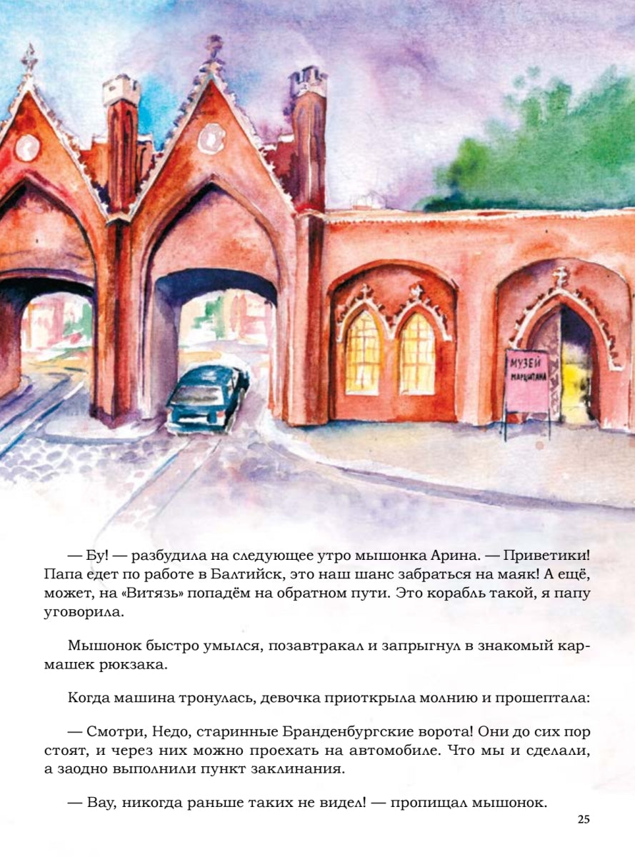 Приключения мышонка Недо в Калининграде или квест мышиного короля. Полезные сказки. Кретова К. А., Романькова Н. А.