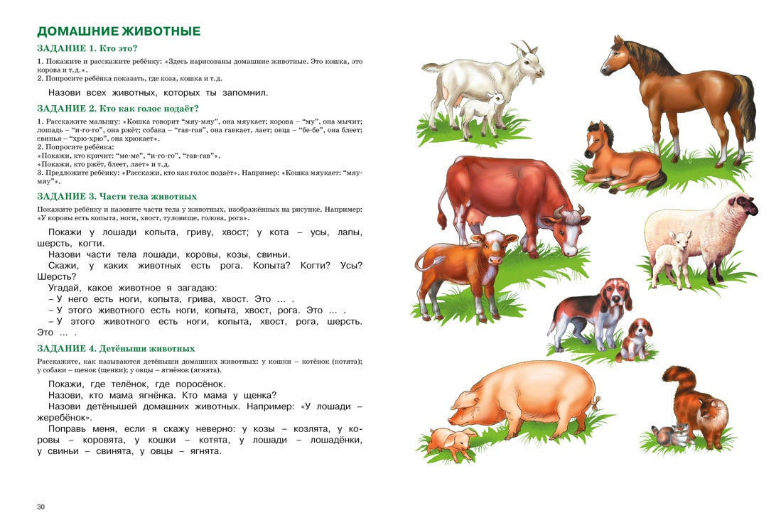 Говори правильно. Уроки с логопедом. Е. Косинова