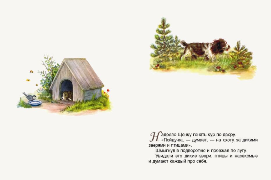 Первая охота. Бианки Виталий