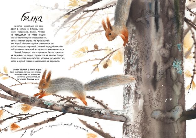 Здравствуй, зима! Фадеева Ольга