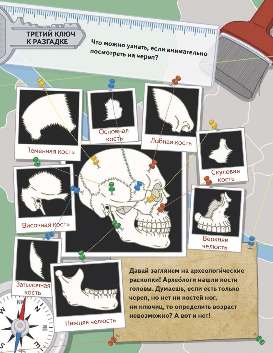 Бу! Я твой скелет! Тхэ Х., Ву Х.