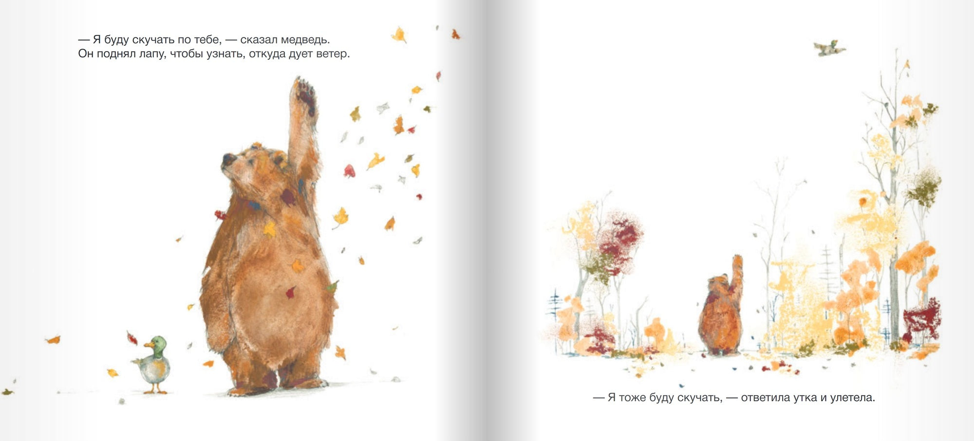 Медведь хочет рассказать историю. Стед Филип К.