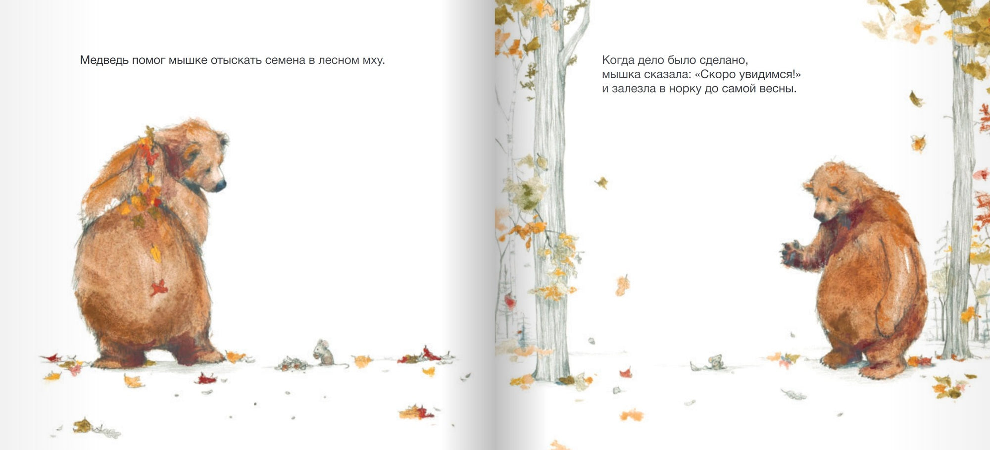 Медведь хочет рассказать историю. Стед Филип К.