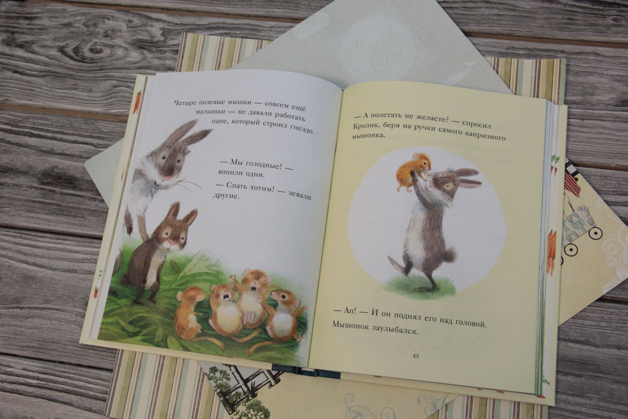 Большой сюрприз для маленького кролика. Хэддоу С., Френд Э.