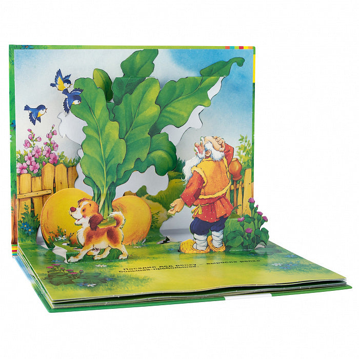 Репка. Панорамка.