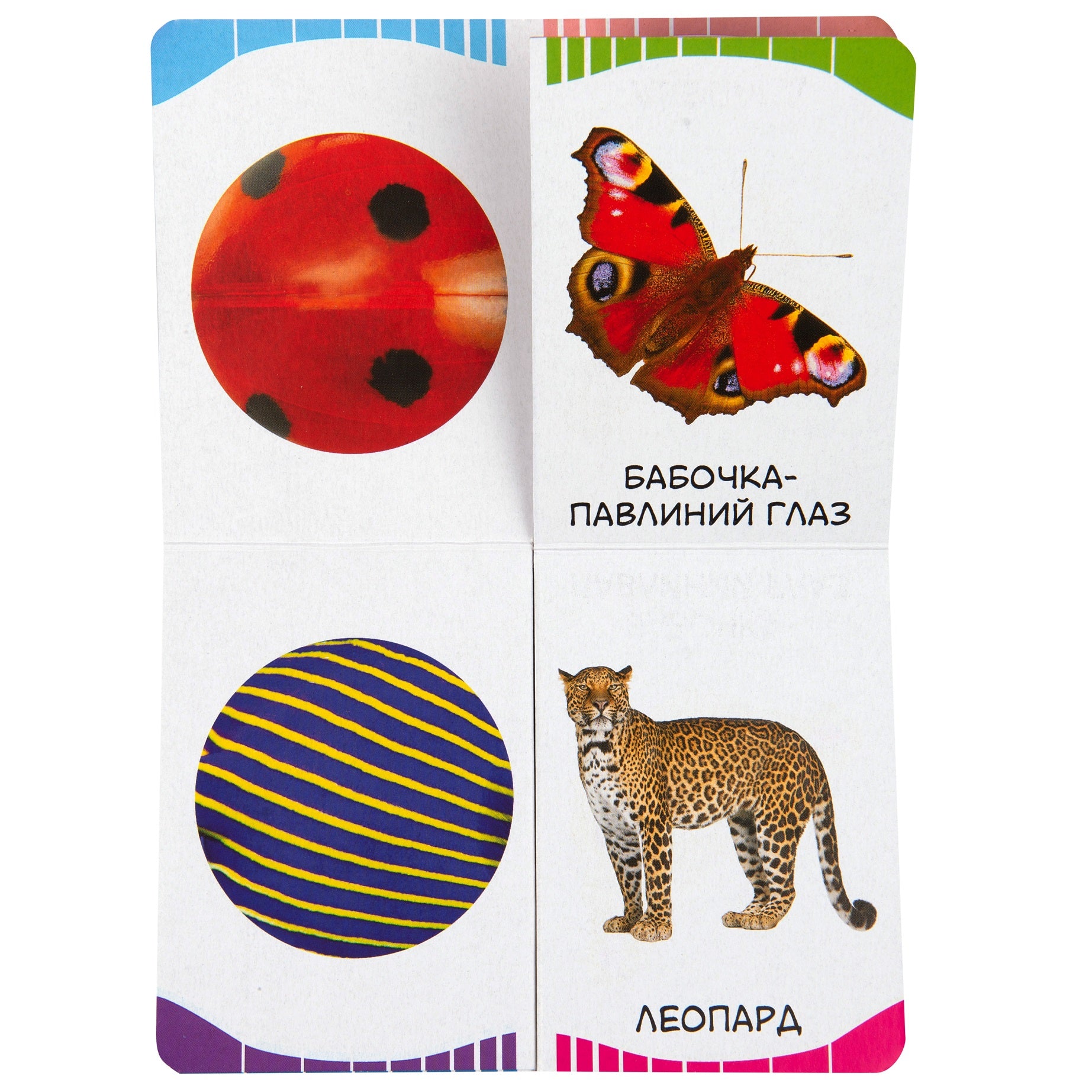 Пятнышки-полоски. Первые слова