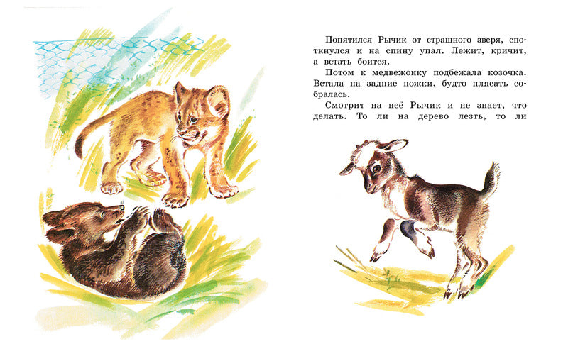 Рычик и Ласка. Вера Чаплина