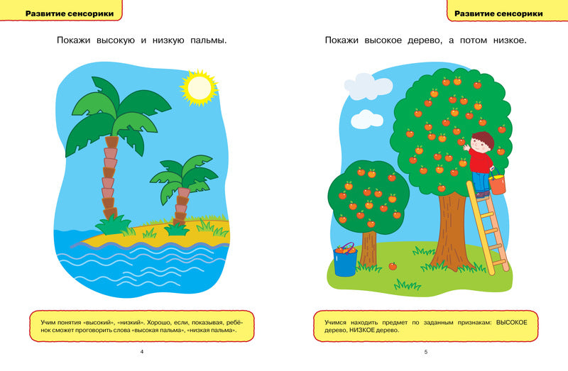 Развивающие тесты (1-2 года). Ольга Земцова