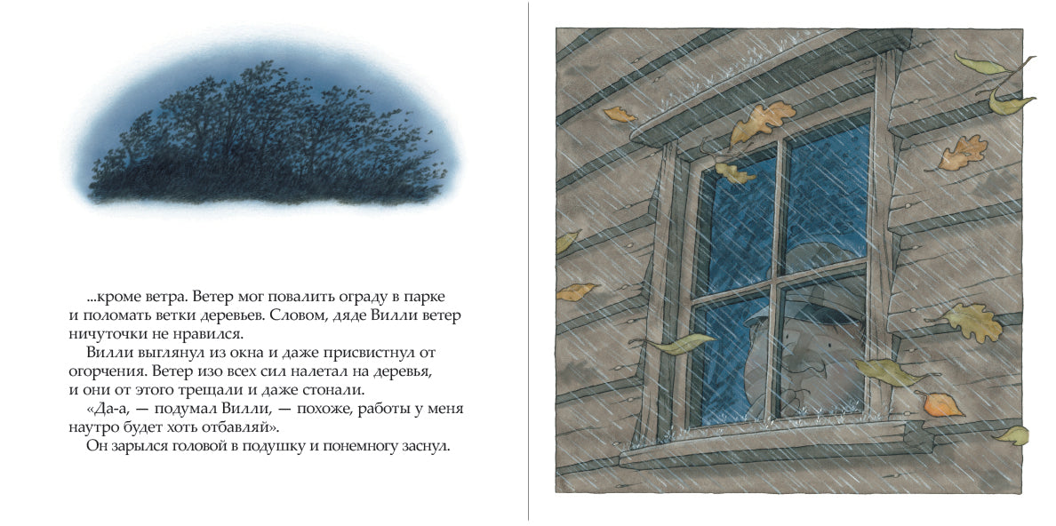 После бури. Баттерворт Ник