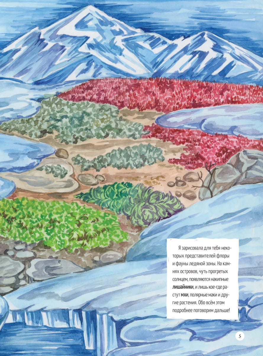 Природа России: от Арктики до пустыни. Моё первое путешествие. Евгения Валягина-Малютина, Марина Медведева